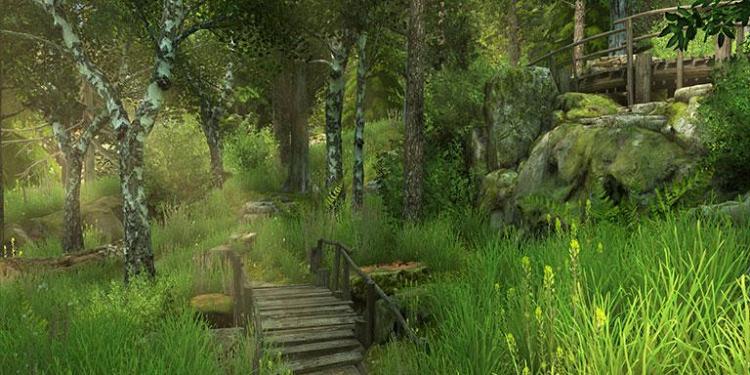 Forest Walk 3D