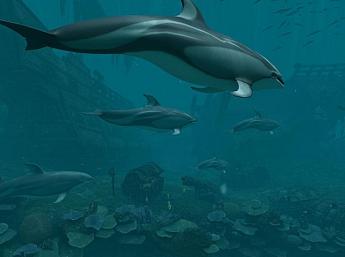 Dolphins - Pirate Reef 3D Écran de Veille