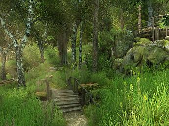 Forest Walk 3D Screensaver