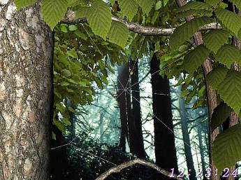 Лесной Мир 3D play video