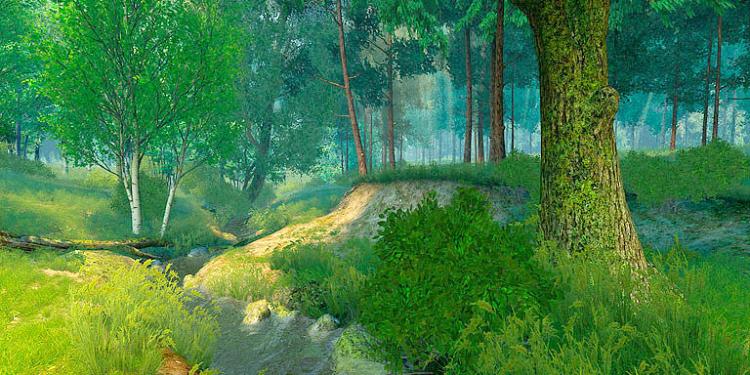 Summer Forest 3D